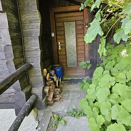 別荘 Les Melezes - Typique, Terrasse & Cheminee Liddes