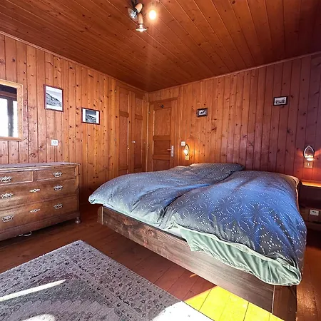 Les Melezes - Typique, Terrasse & Cheminee